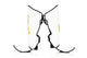 Image Alt Text