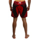 Venum Galactic 3.0 Fight shorts Rood/Zilver