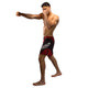 Venum Galactic 3.0 Fight shorts Rood/Zilver