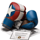 Hayabusa Bokshandschoenen T3 Marvel's Captain America