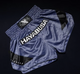 Hayabusa Muay/Thaishort Core Blauw