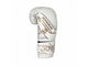 Joya Gear Bokshandschoenen Essential Wit/Goud