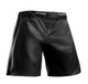 Hayabusa Core Fight Short Mid-Thigh Zwart