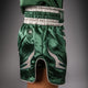 Venum Kickboksshort Inferno Groen/Wit
