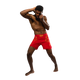 Venum X WOW FC Fightshort Vurend Rood