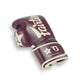 Fairtex Booster Bokshandschoenen FXB BG V2 BR/CR